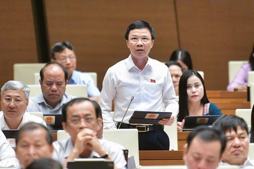 Đại biểu Quốc hội trăn trở với sức khỏe doanh nghiệp