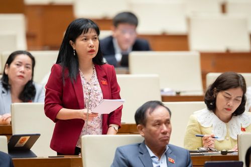 Đại biểu Quốc hội: Sớm gỡ vướng chính sách phát triển kinh tế tư nhân