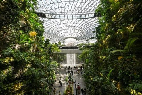 Ngắm sân bay Changi Singapore có thiết kế thân thiện với môi trường