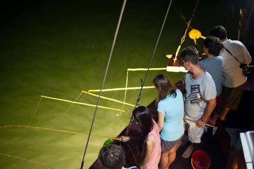 Du khách cảnh giác trước các quảng cáo về tour 'câu cá', 'câu mực đêm' trên vịnh Hạ Long