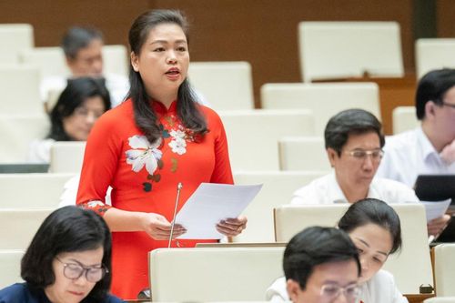 Đại biểu Quốc hội tỉnh Đoàn Thị Lê An: Cần đầu tư phát triển điện lưới khu vực nông thôn, miền núi, biên giới, hải đảo, vùng đặc biệt khó khăn