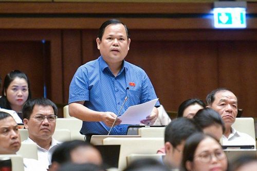 Cần cấp thiết đầu tư xây dựng hệ thống cảng biển nước sâu trong vùng ĐBSCL
