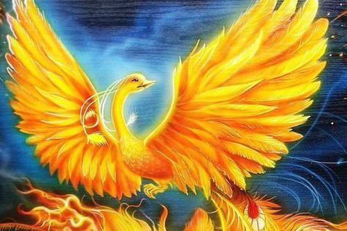 Cây Ngô đồng kỳ hoa dị thảo và ước nguyện 'dẫn Phượng hoàng tới' của người xưa