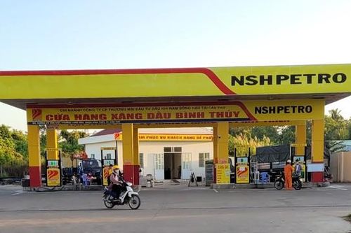 Bốn cá nhân bị phạt 6 tỷ đồng do thao túng cổ phiếu PHS của Dầu khí Nam Sông Hậu