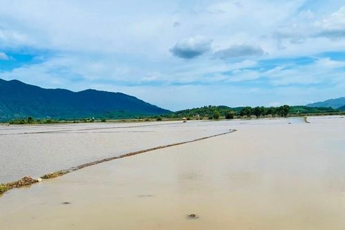 Bình Thuận: Thiệt hại hàng tỷ đồng do mưa to tại địa phương