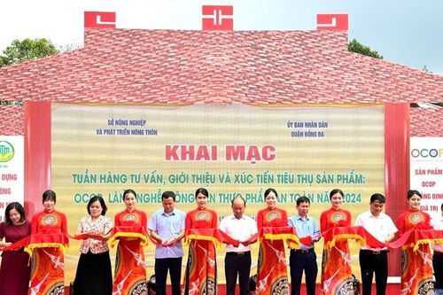 Khai mạc tuần hàng giới thiệu, xúc tiến tiêu thụ sản phẩm tại quận Đống Đa