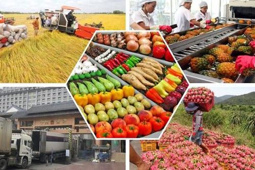 Tháo gỡ khó khăn để thúc đẩy xuất khẩu nông sản những tháng cuối năm