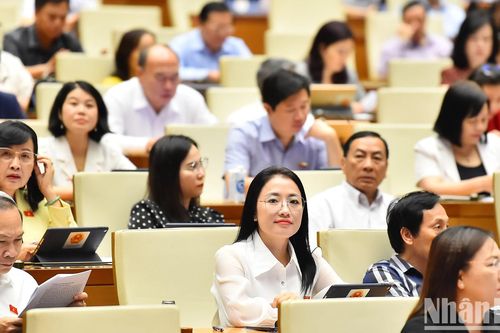'Nóng' vấn đề ô nhiễm, đề nghị Quốc hội giám sát tối cao về bảo vệ môi trường