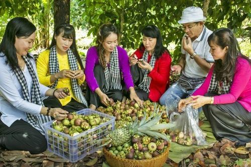 Bình Dương tổ chức Lễ hội Mùa trái chín vào giữa tháng 6