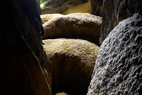 Hiệp hội Hang động Hoàng gia Anh hỗ trợ thám hiểm khảo sát hang động Vân Tiên ở Quảng Trị