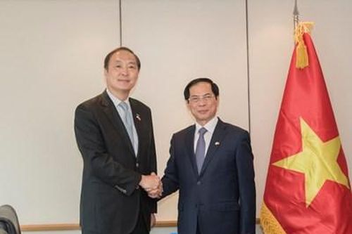 Phát huy các cầu nối thúc đẩy quan hệ Việt Nam - Hàn Quốc