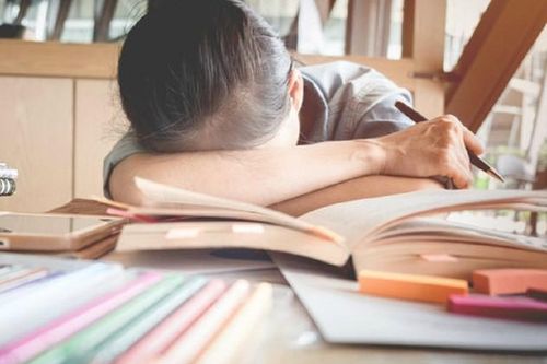 Mùa thi, cha mẹ nên bồi bổ trí lực cho sĩ tử thế nào?