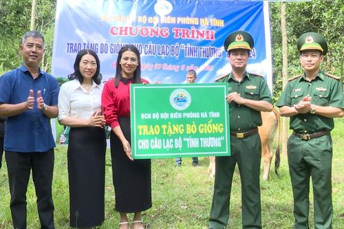 Trao tặng bò giống cho thành viên Câu lạc bộ Tình thương