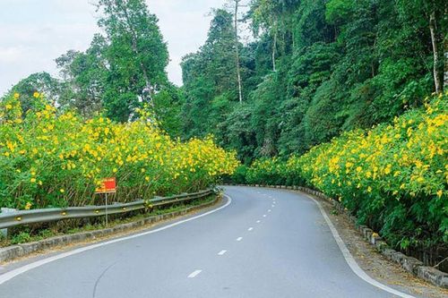Hà Nội cải tạo hơn 8km từ Tỉnh lộ 414 đi Vườn quốc gia Ba Vì