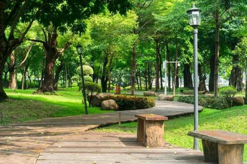 Nắng trùm lên mọi lối đi