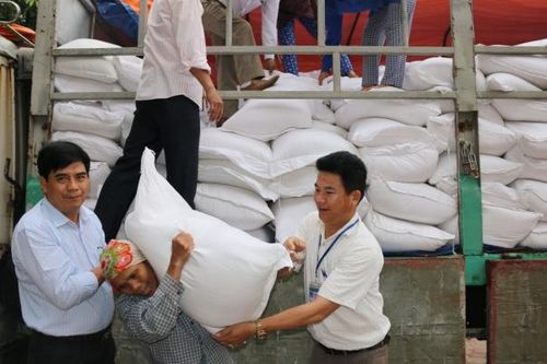 Chính phủ xuất cấp gạo cho 5 địa phương dịp giáp hạt năm 2024