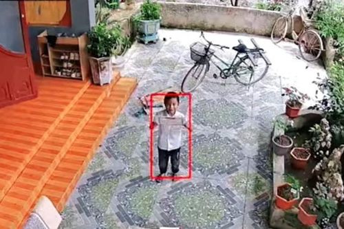 Cậu bé khoe giấy khen với người bố đơn thân qua camera 'đốn tim' dân mạng