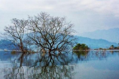 Một thế giới 'đẹp khó tin' nằm ẩn mình trong dãy Trường Sơn
