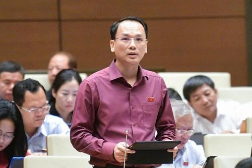 Tìm giải pháp hỗ trợ các hãng hàng không tăng chuyến bay, giảm giá vé