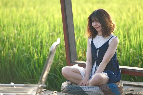 Quán cà phê giữa cánh đồng đẹp ngất ngây trong mùa lúa chín