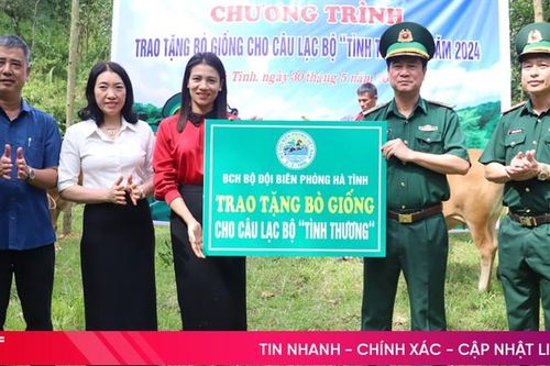 Bộ Chỉ huy Bộ đội Biên phòng Hà Tĩnh tặng bò cho CLB Tình thương