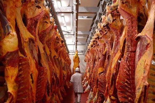 Nối lại hoạt động xuất khẩu thịt bò Australia sang Trung Quốc
