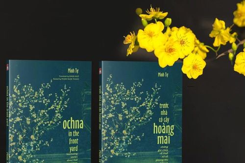 'Trước nhà có cây hoàng mai': Tìm hiểu lối sống thanh nhã của người dân xứ Huế
