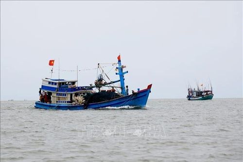 Hỗ trợ tàu cá '3 không' hoàn thiện thủ tục sớm vươn khơi