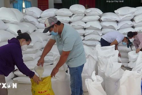 Xuất cấp gạo hỗ trợ nhân dân 5 địa phương dịp giáp hạt năm 2024
