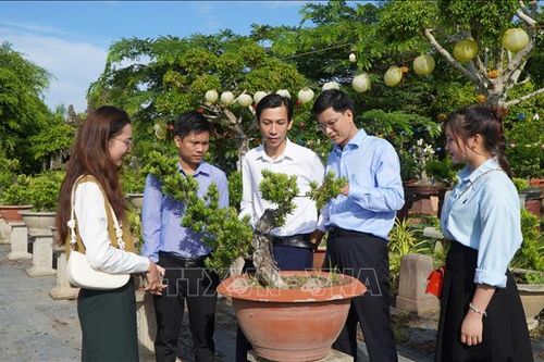 Chia sẻ tiến bộ công nghệ và xu hướng mới trong sản xuất hoa kiểng