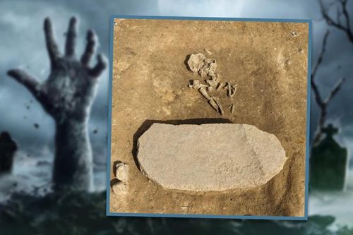 Giới khảo cổ phát hiện 'mộ zombie' độc đáo ở Đức