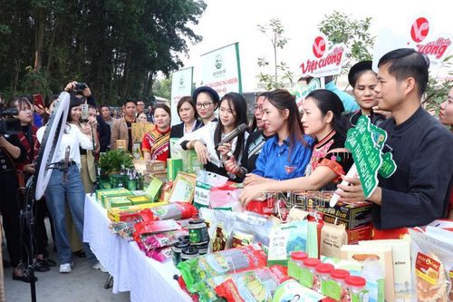'Cầm tay, chỉ việc' các hợp tác xã kinh doanh thành thạo trên nền tảng số