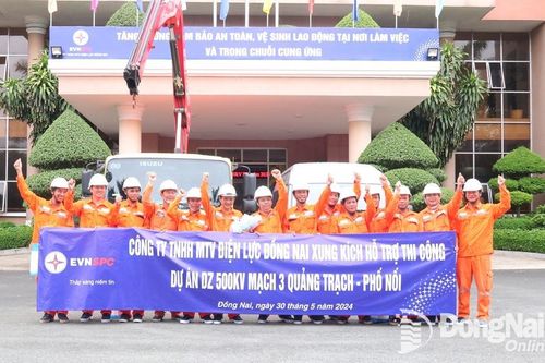Điện lực Đồng Nai cử 28 kỹ sư, công nhân hỗ trợ thi công Dự án Đường dây 500kV