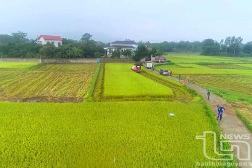 Sức bật 'tam nông' ở thành phố công nghiệp, kỳ I: Ý Đảng hợp lòng dân