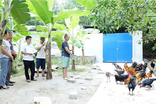 Phú Lương: Phân bổ trên 34 tỷ đồng hỗ trợ đồng bào dân tộc thiểu số và miền núi