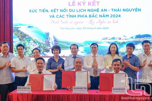 Kết nối du lịch Nghệ An - Thái Nguyên và các tỉnh phía Bắc