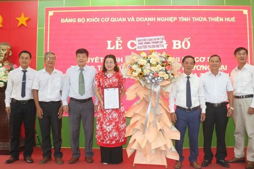 Thành lập Chi bộ Trung tâm Xúc tiến đầu tư, Thương mại và Hỗ trợ doanh nghiệp tỉnh
