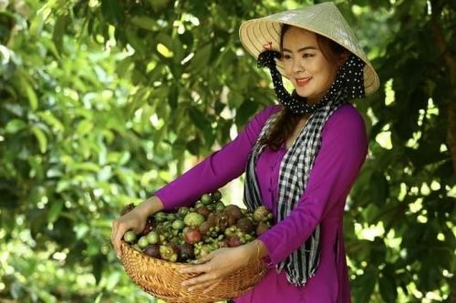 Lễ hội Mùa trái chín Bình Dương 2024: Khám phá thiên đường trái cây và văn hóa độc đáo
