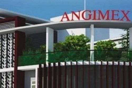Angimex muốn bán 100% vốn tại công ty con