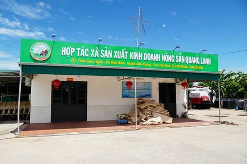 Nữ nông dân Thái Bình vượt khó để phát triển nông nghiệp xanh