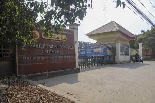 Khởi tố Tổng giám đốc Công ty Công nghiệp Cao su miền Nam