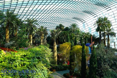 Khám phá khu rừng nhân tạo trên đất lấn biển của Singapore