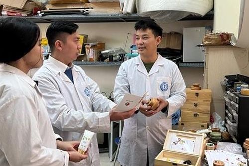 Về thiết bị kết hợp ba tác động trị liệu