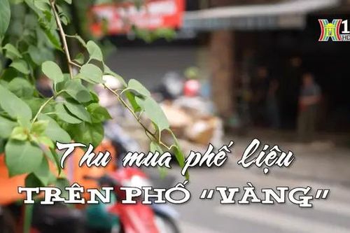 Thu mua phế liệu trên phố 'vàng' | Nhịp sống Hà Nội | 30/05/2024