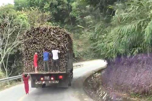 Bám vào phương tiện giao thông đang chạy bị xử phạt bao nhiêu tiền?