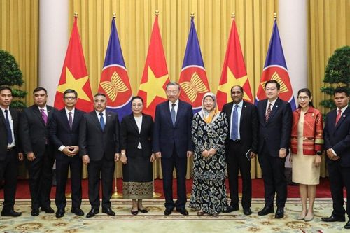 Chủ tịch nước Tô Lâm tiếp Đại sứ các nước ASEAN đến chào và chúc mừng