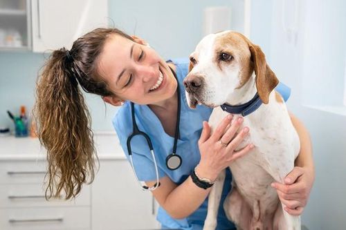 Ngành học này đang trở thành xu thế kiếm tiền của hàng triệu người Việt