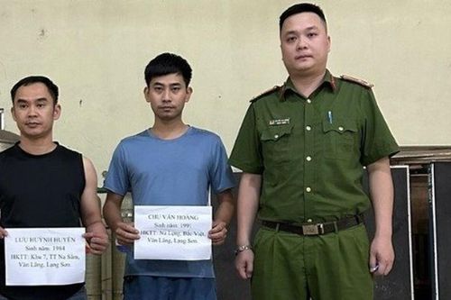 Lạng Sơn: Khởi tố đối tượng mua bán, vận chuyển hàng trăm cá thể vẹt quý hiếm