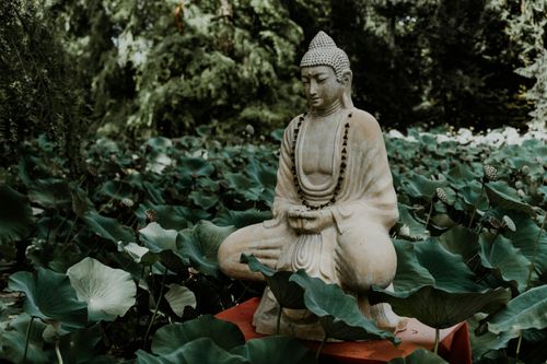Quy y Tam Bảo là gì?