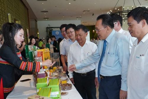 Khánh Hòa và Đắk Lắk kết nối giao thương 'từ rừng về biển'